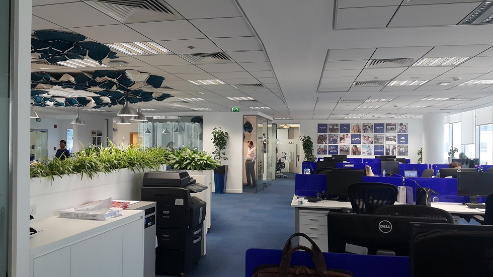 Nivea (Beiersdorf) – Team area with planters